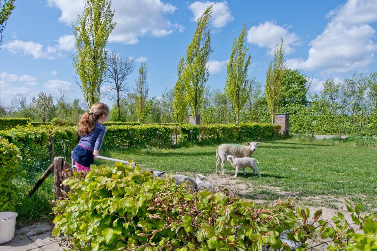 Vakantiehuis Hof Welzinge *